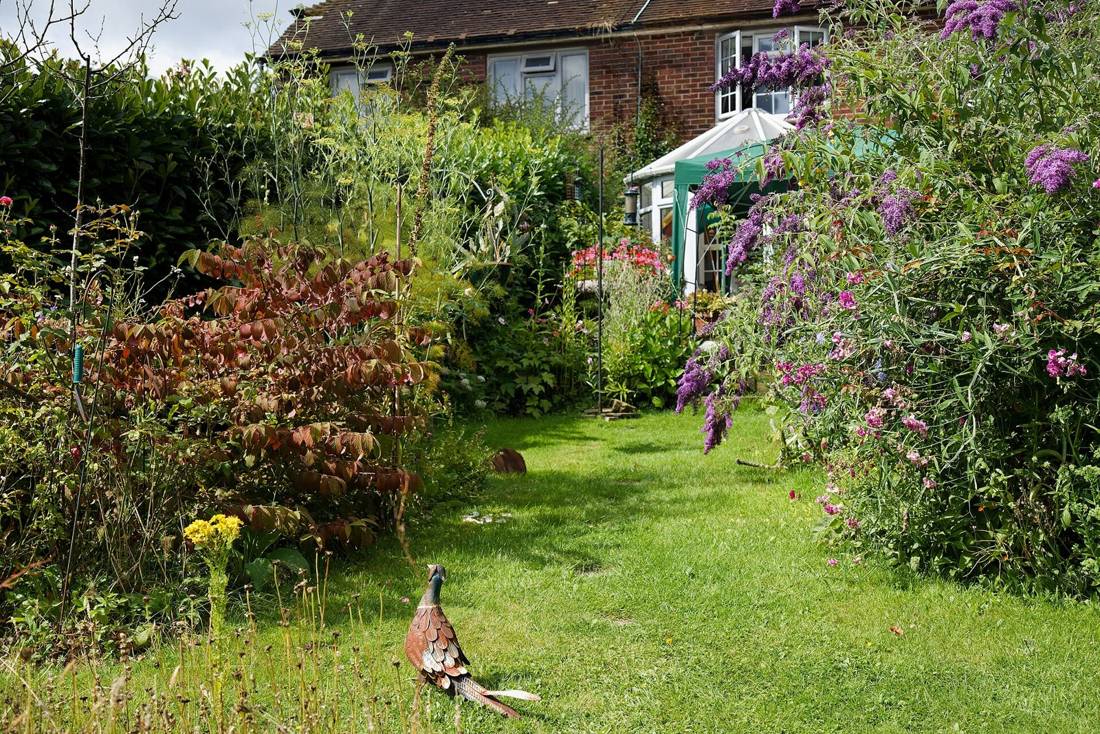 Lawn and flower borders in an English garden