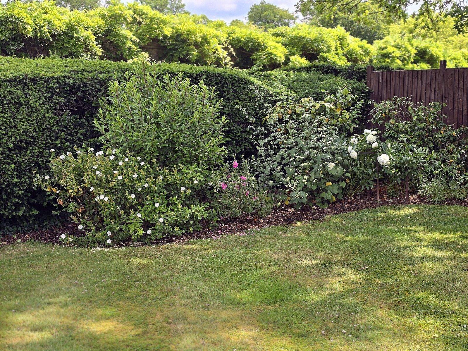 A well-kept lawn with a flower and shrub border